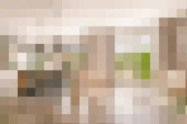 De Hilt 13 Abcoude thumbnail 4