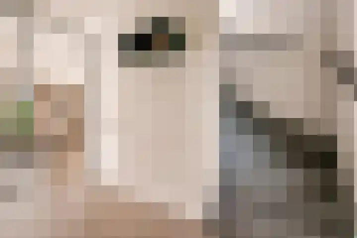 De Hilt 13 Abcoude thumbnail 42