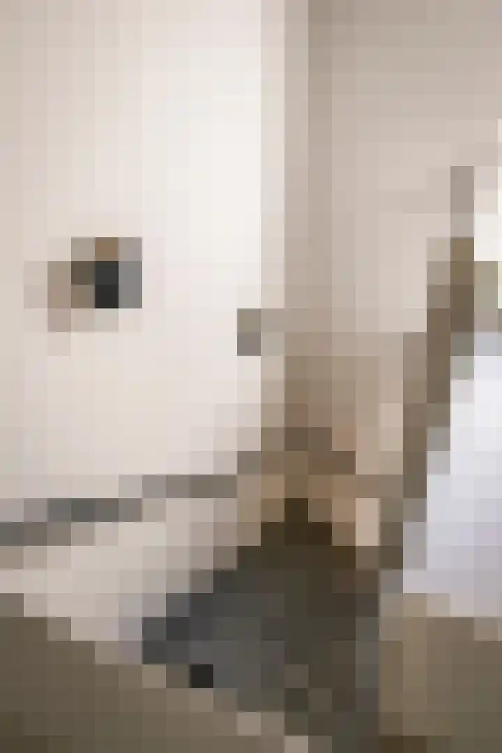 De Hilt 13 Abcoude thumbnail 43
