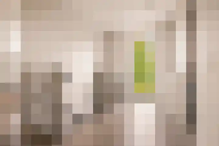 De Hilt 13 Abcoude thumbnail 44