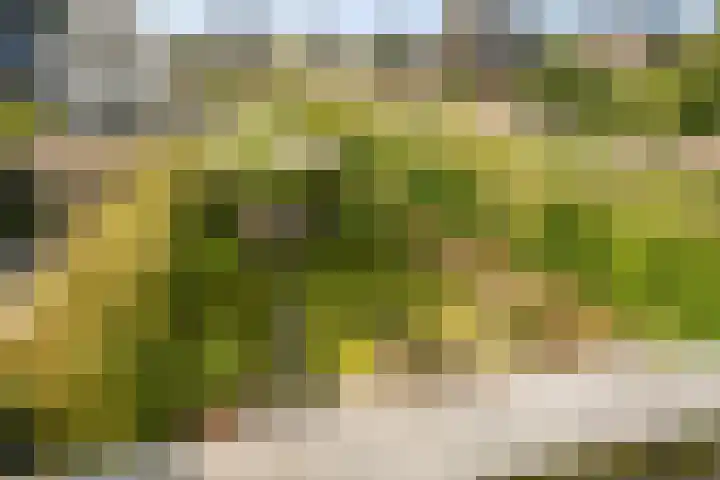 De Hilt 13 Abcoude thumbnail 47
