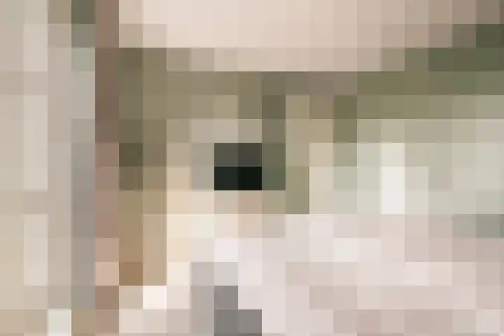 De Hilt 13 Abcoude thumbnail 48