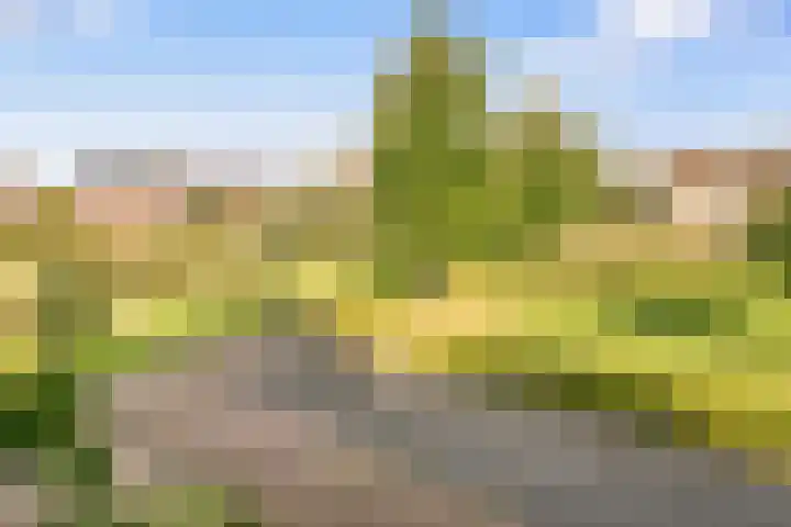 De Hilt 13 Abcoude thumbnail 56