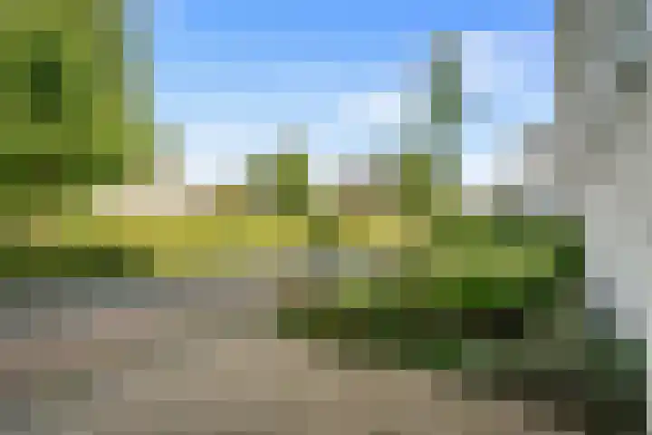 De Hilt 13 Abcoude thumbnail 67