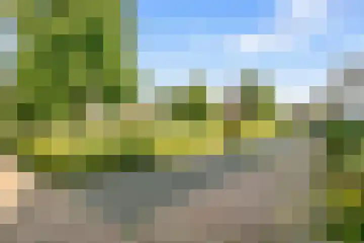 De Hilt 13 Abcoude thumbnail 68