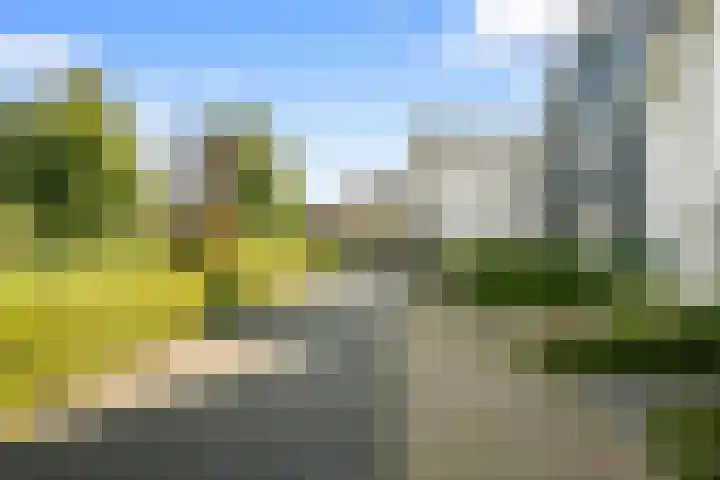 De Hilt 13 Abcoude thumbnail 69