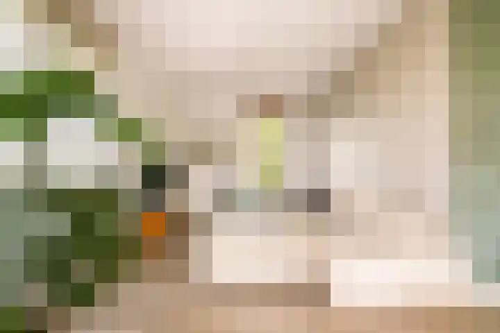 De Hilt 13 Abcoude thumbnail 7