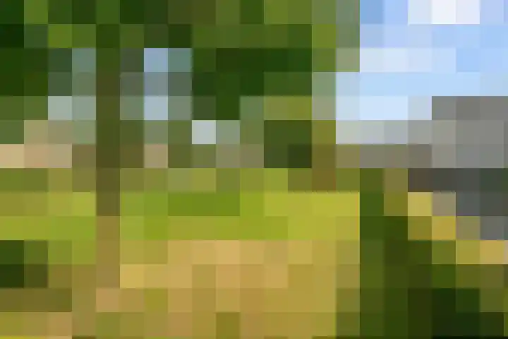 De Hilt 13 Abcoude thumbnail 71