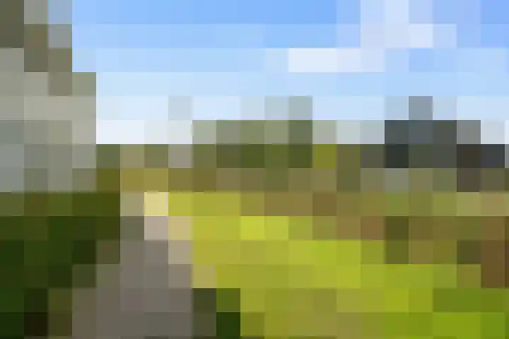 De Hilt 13 Abcoude thumbnail 73