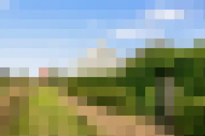 De Hilt 13 Abcoude thumbnail 74