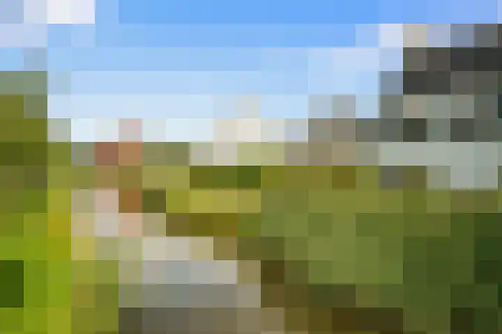 De Hilt 13 Abcoude thumbnail 75