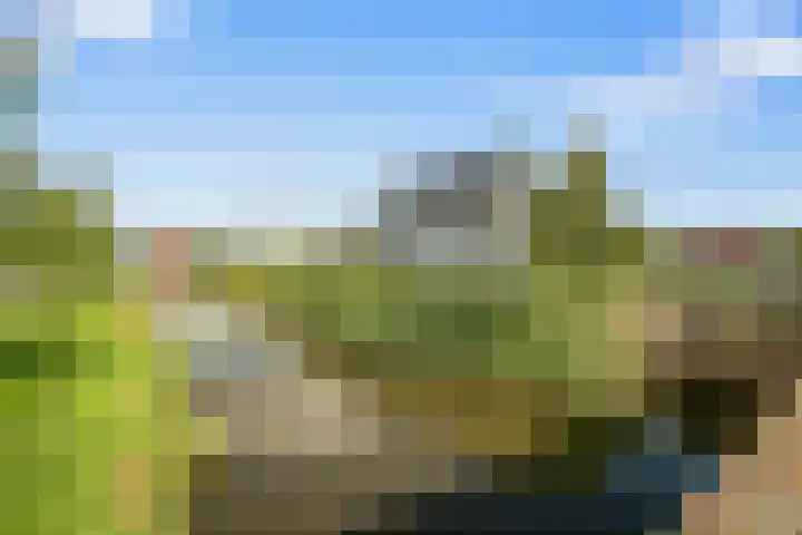 De Hilt 13 Abcoude thumbnail 76