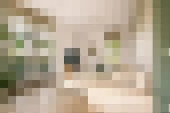 De Hilt 13 Abcoude thumbnail 8