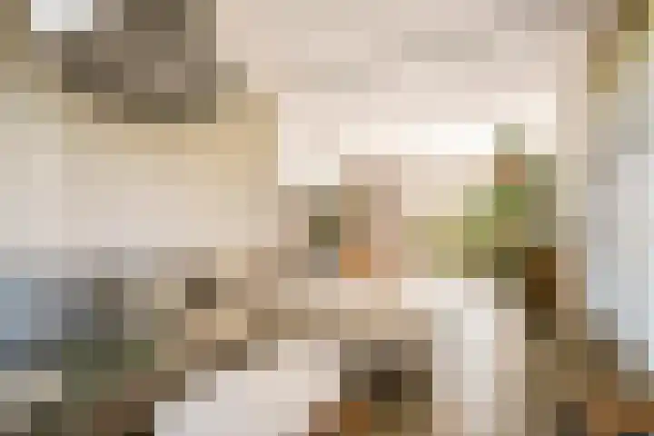 De Hilt 13 Abcoude thumbnail 9