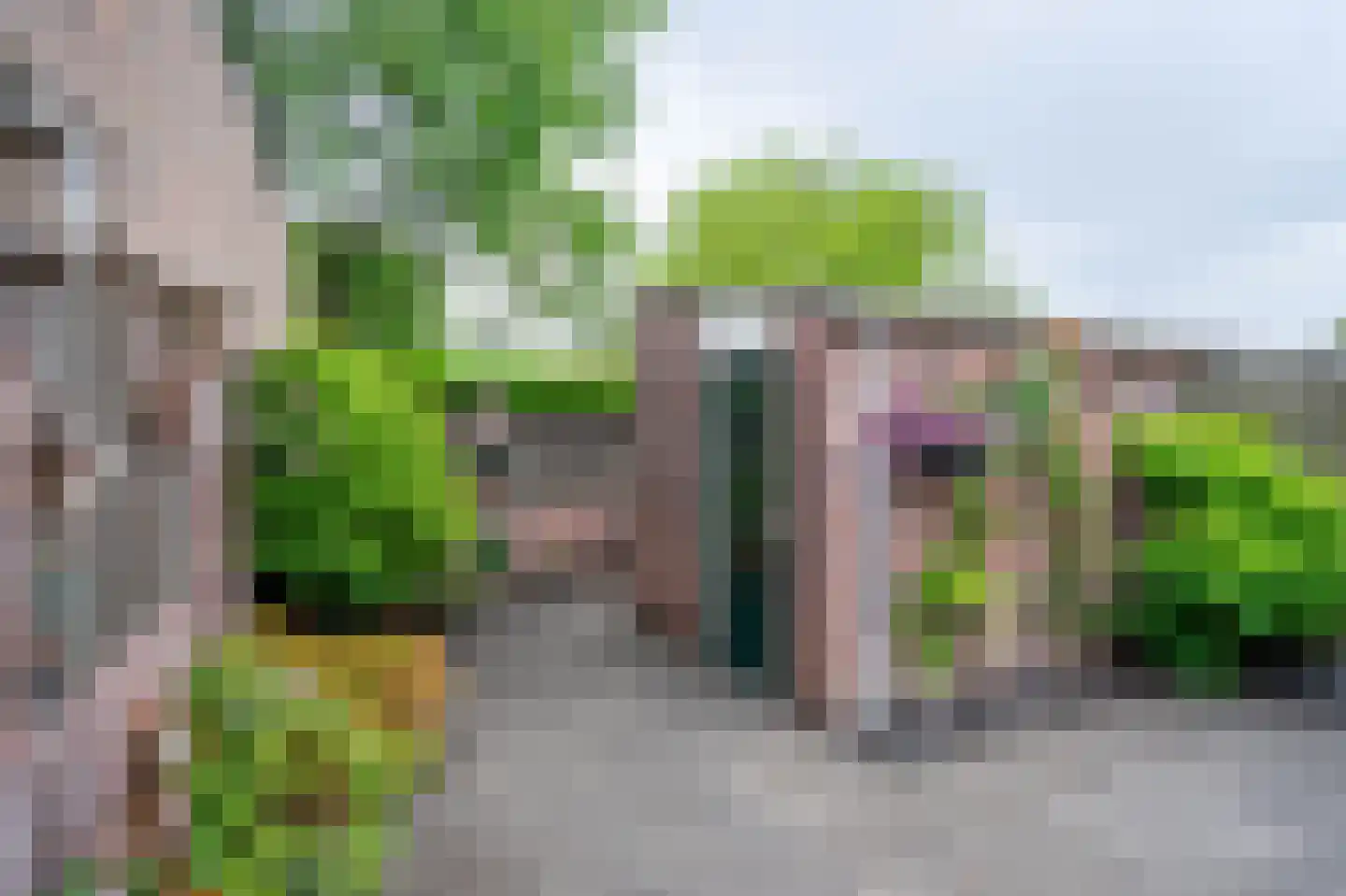 de Hilt 17 Bakel thumbnail 30