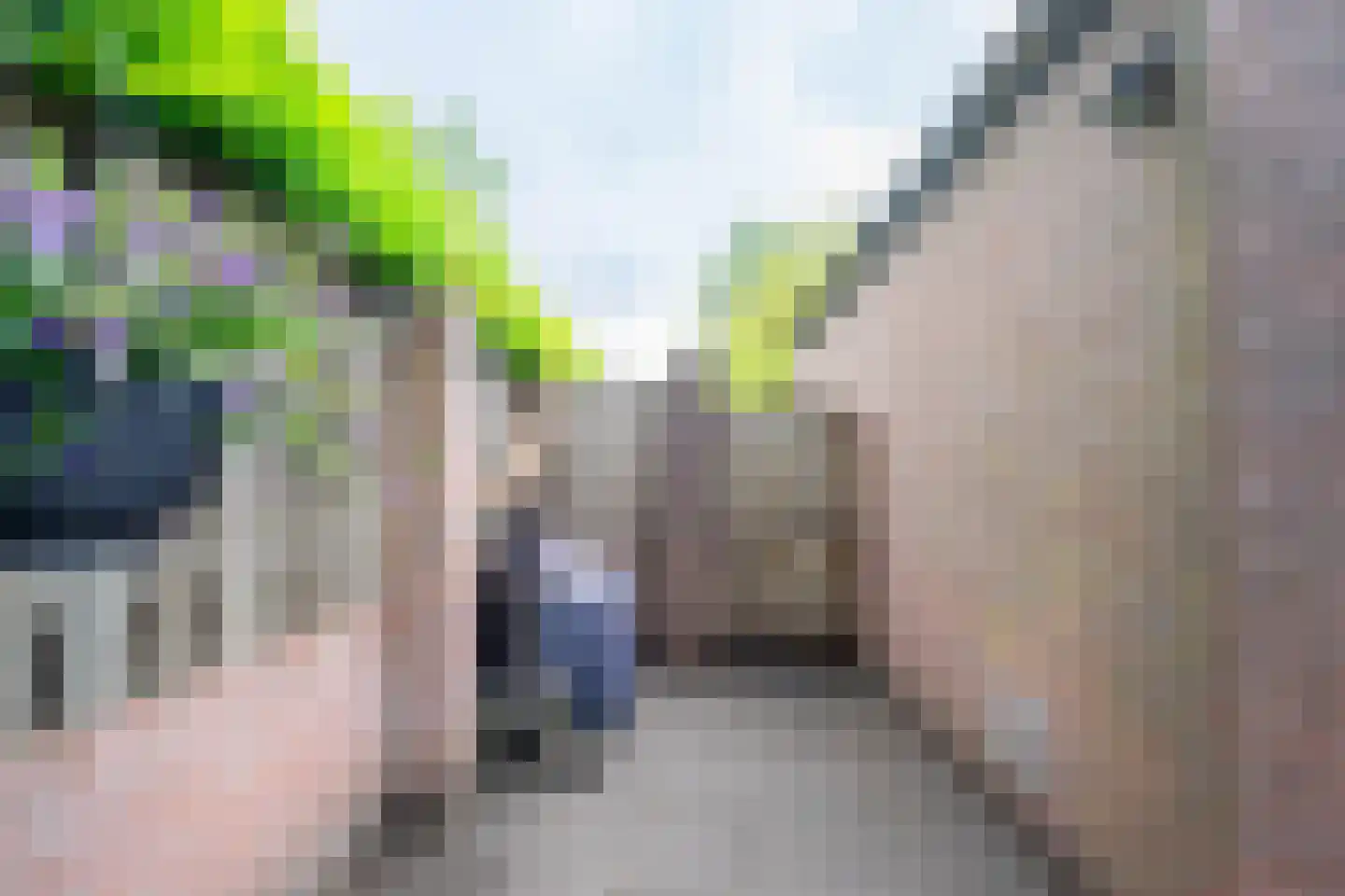 de Hilt 17 Bakel thumbnail 31