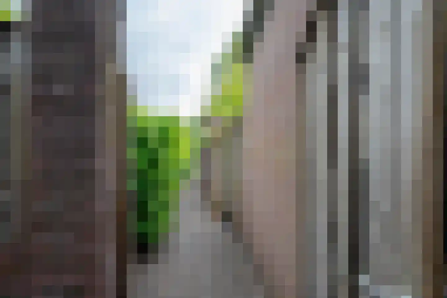 de Hilt 17 Bakel thumbnail 32