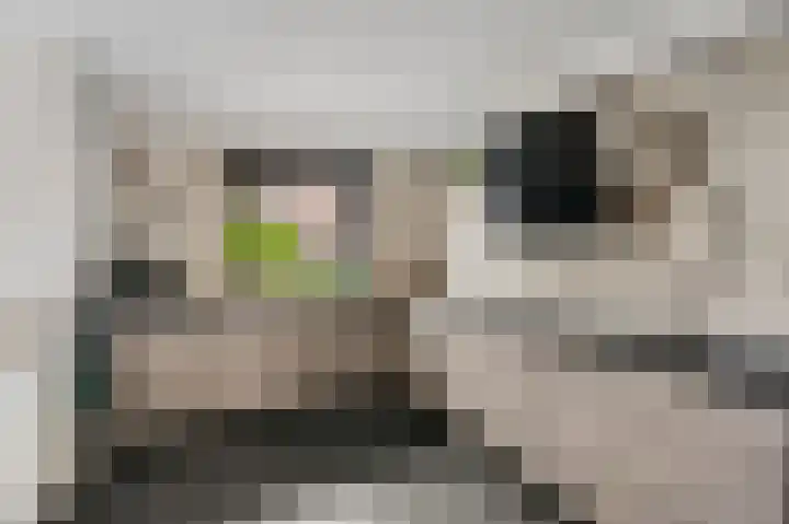 De Hilt 2 Hoevelaken thumbnail 10