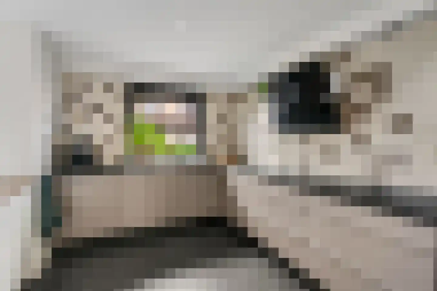 De Hilt 2 Hoevelaken thumbnail 10