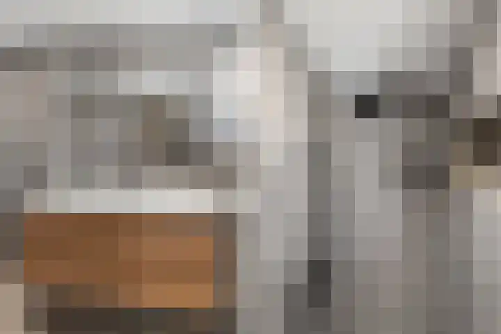 De Hilt 2 Hoevelaken thumbnail 22