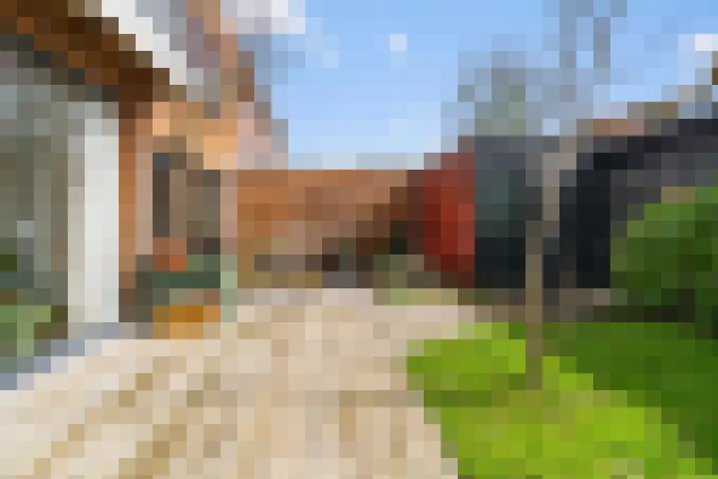 De Hilt 2 Hoevelaken thumbnail 28