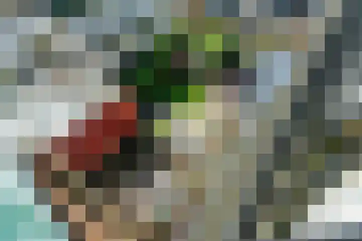 De Hilt 2 Hoevelaken thumbnail 30