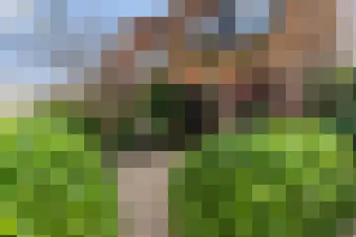 De Hilt 2 Hoevelaken thumbnail 4