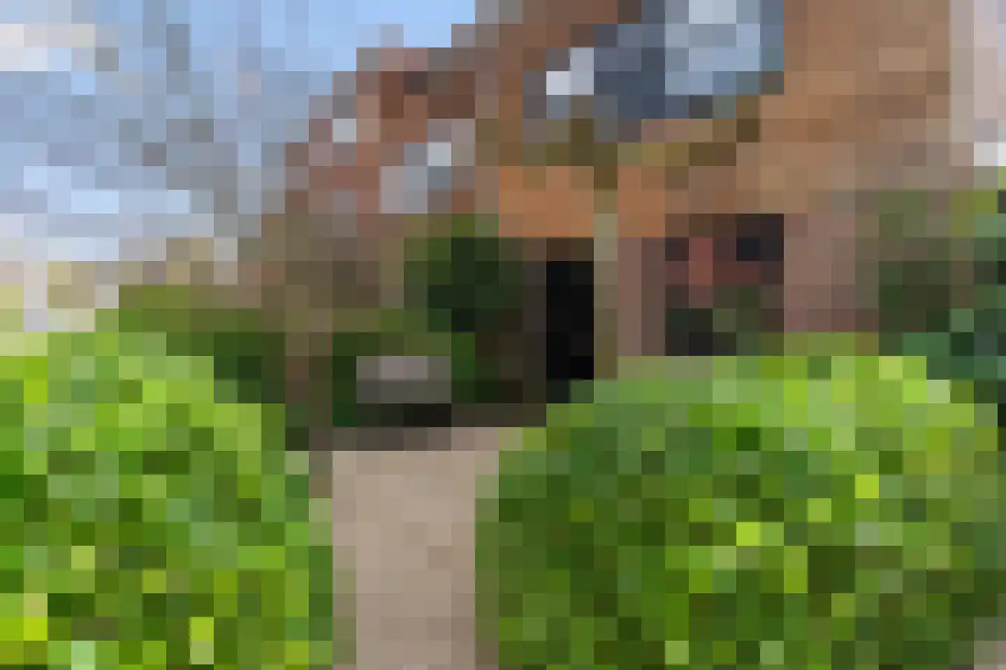 De Hilt 2 Hoevelaken thumbnail 4
