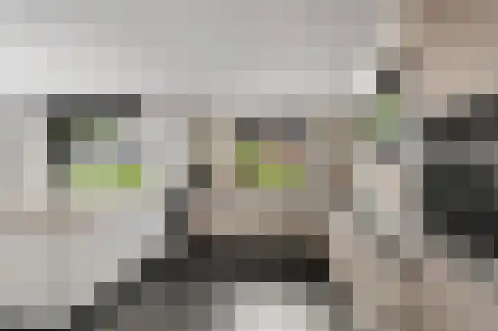 De Hilt 2 Hoevelaken thumbnail 9