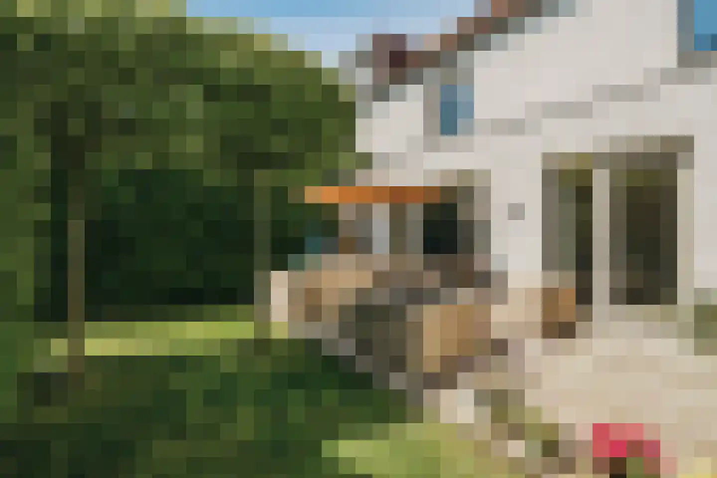 De Hilt 8 Abcoude thumbnail 14