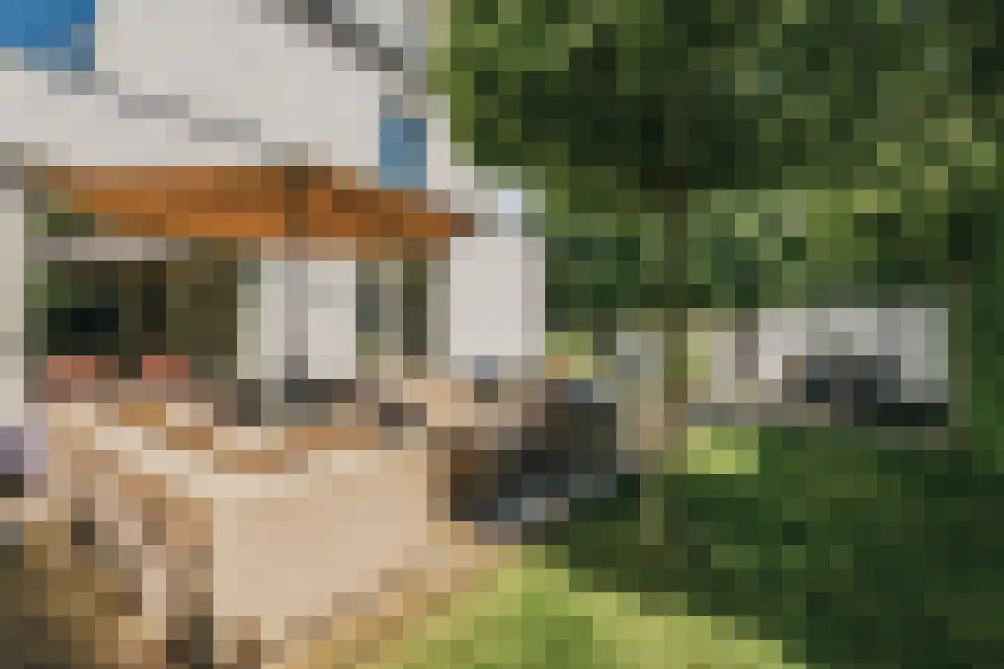 De Hilt 8 Abcoude thumbnail 17
