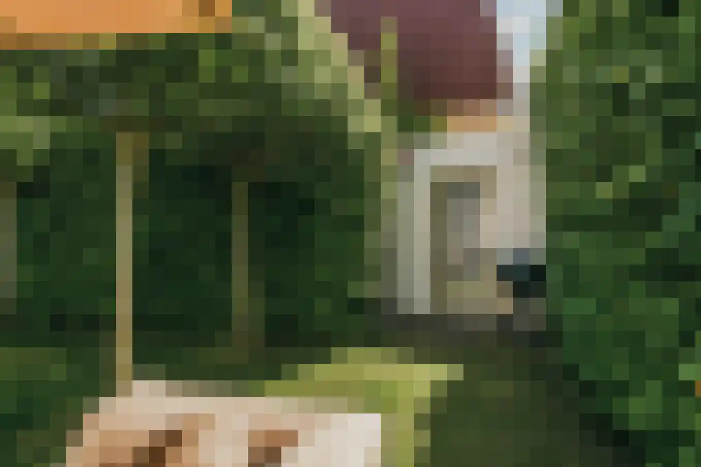 De Hilt 8 Abcoude thumbnail 18