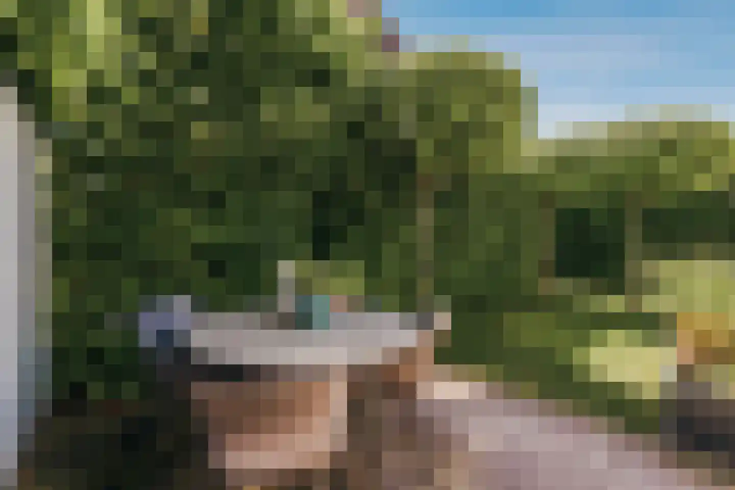 De Hilt 8 Abcoude thumbnail 20
