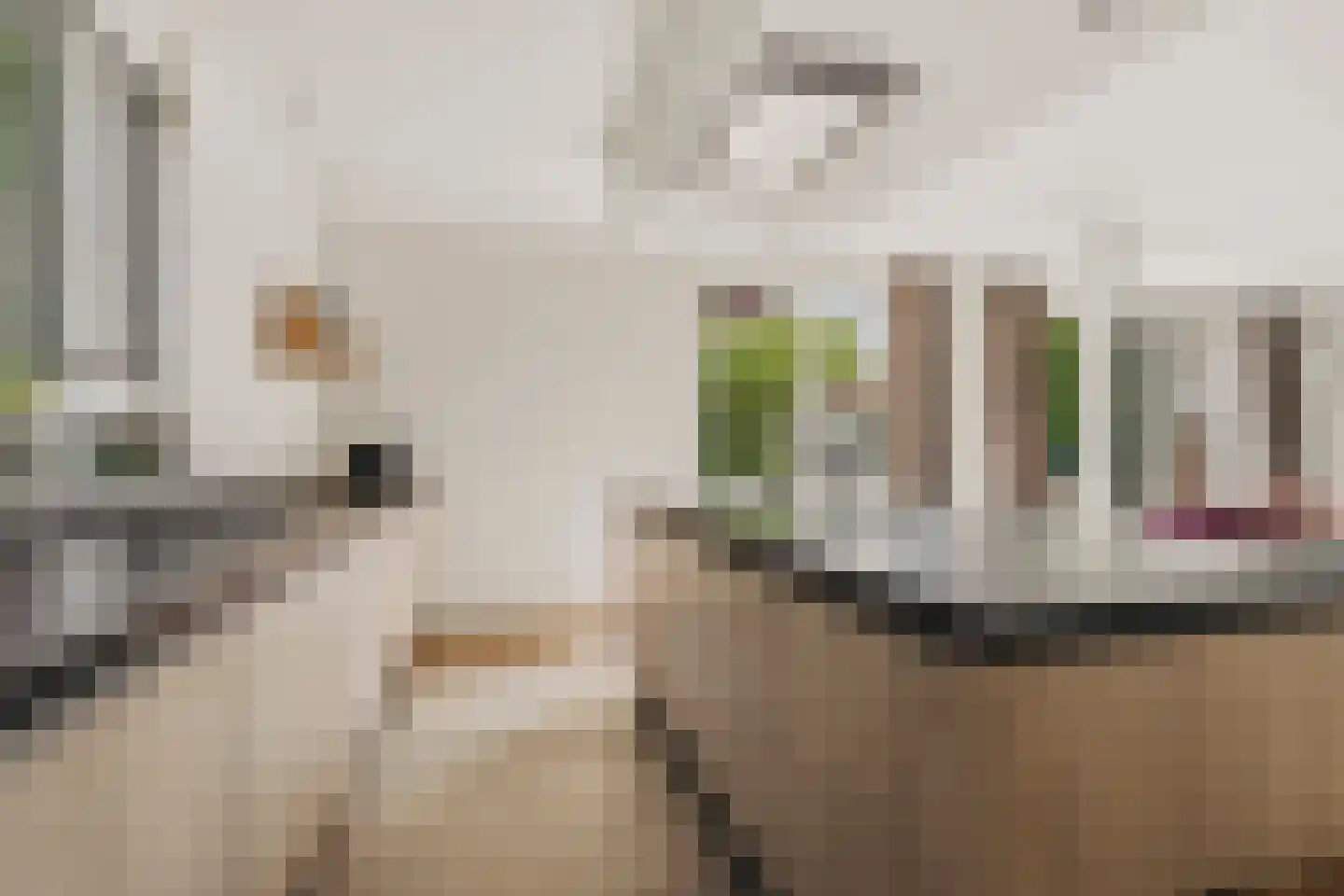 De Hilt 8 Abcoude thumbnail 25