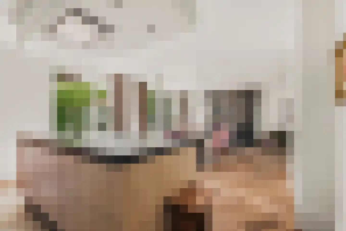 De Hilt 8 Abcoude thumbnail 26