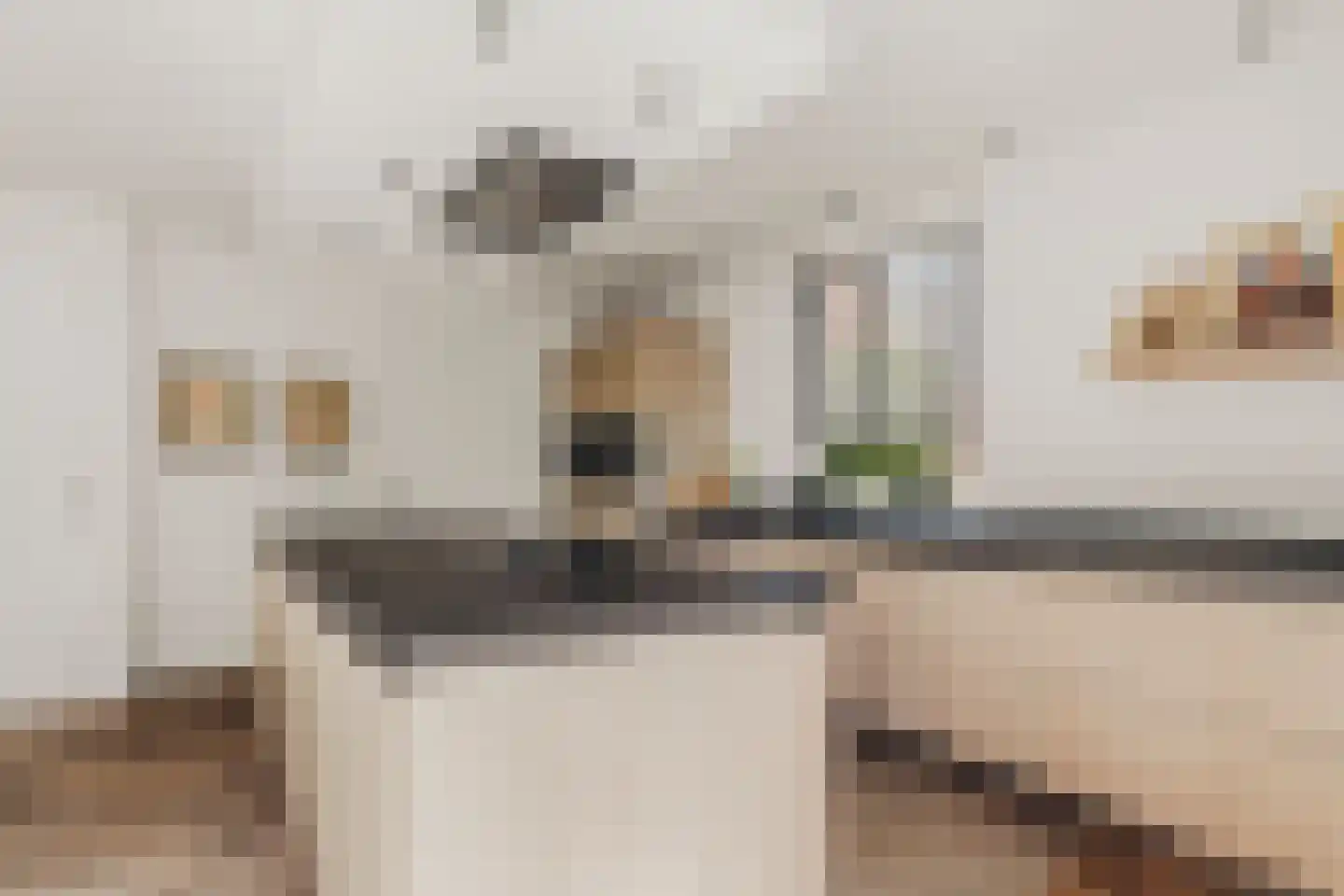 De Hilt 8 Abcoude thumbnail 27