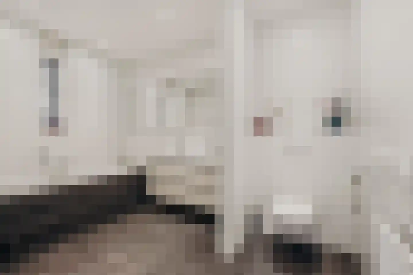De Hilt 8 Abcoude thumbnail 37
