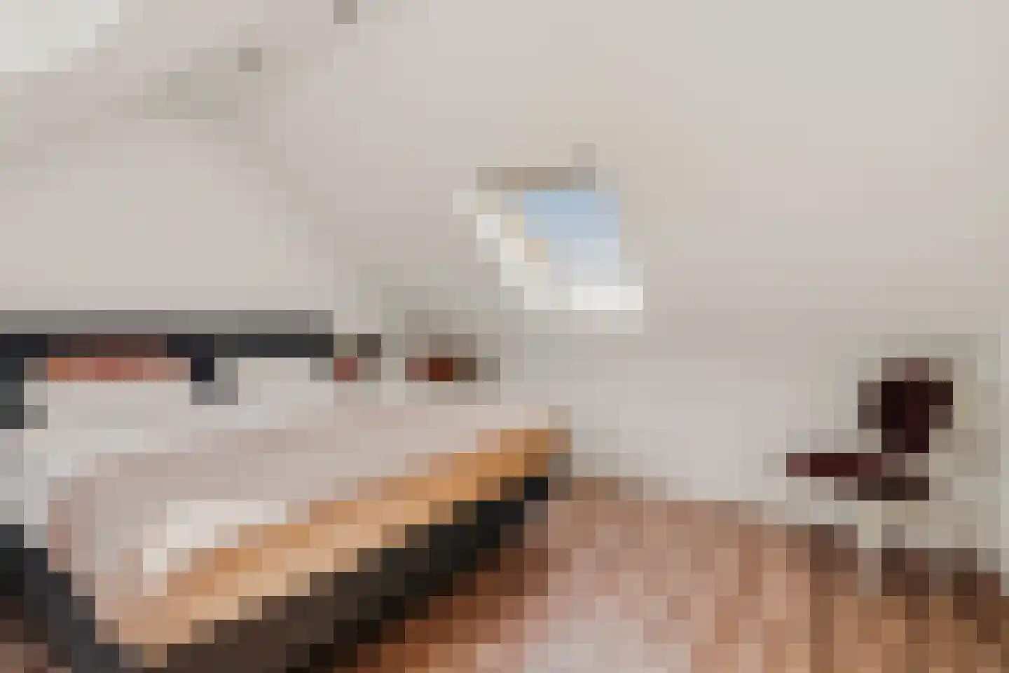 De Hilt 8 Abcoude thumbnail 46