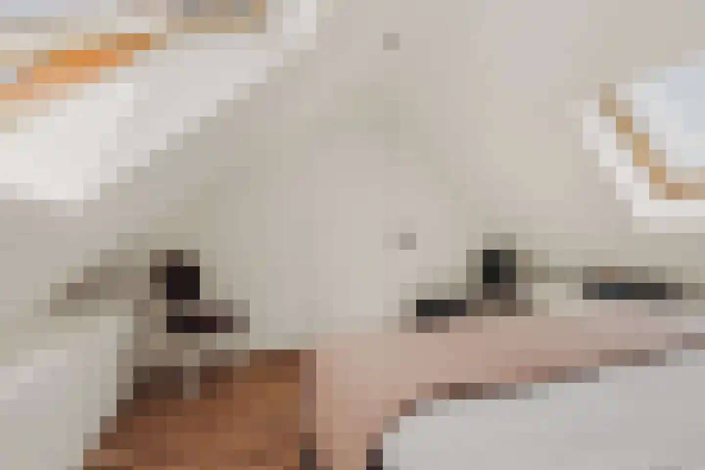 De Hilt 8 Abcoude thumbnail 47