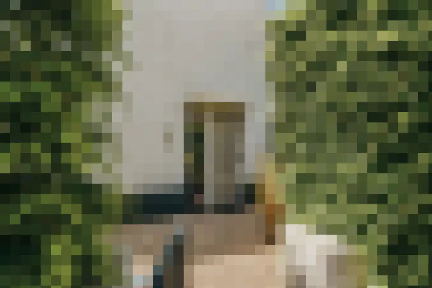 De Hilt 8 Abcoude thumbnail 48