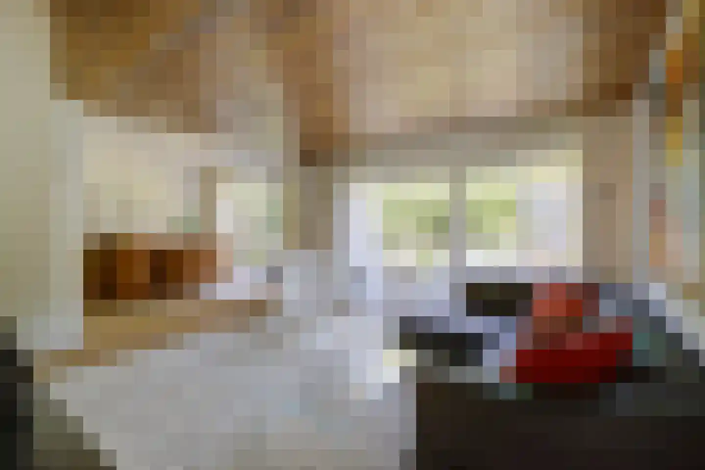 De Hilver 10 Goirle thumbnail 13