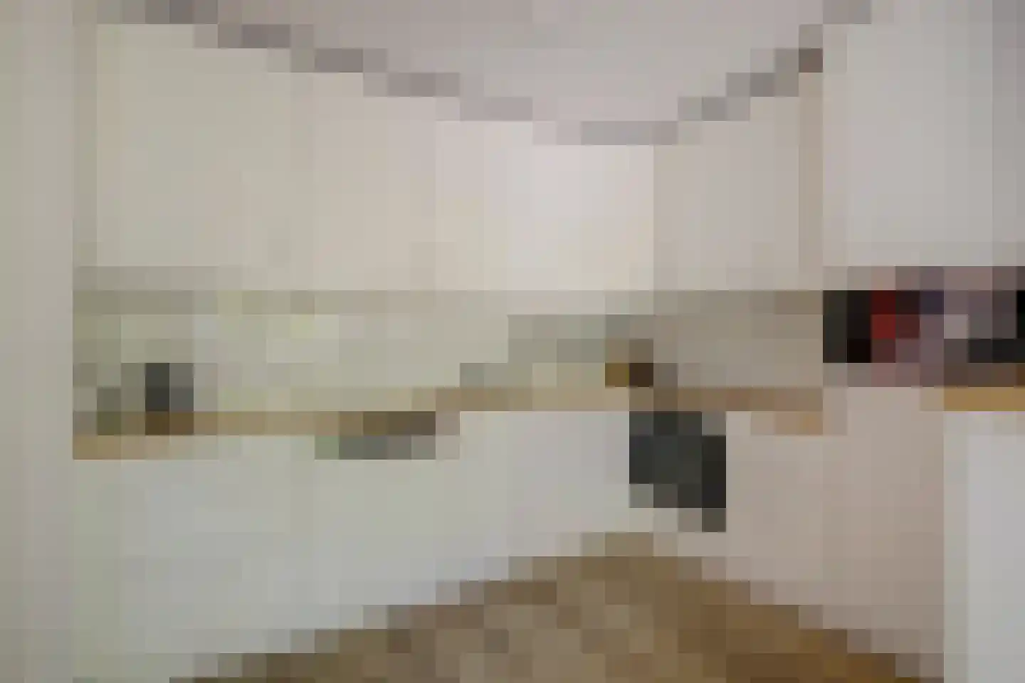 De Hilver 10 Goirle thumbnail 16