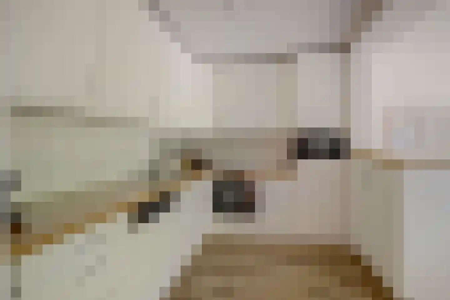De Hilver 10 Goirle thumbnail 17