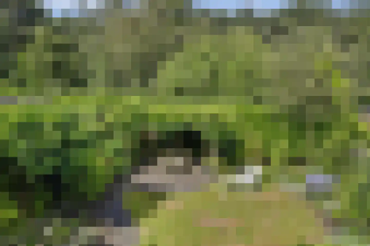De Hilver 10 Goirle thumbnail 31