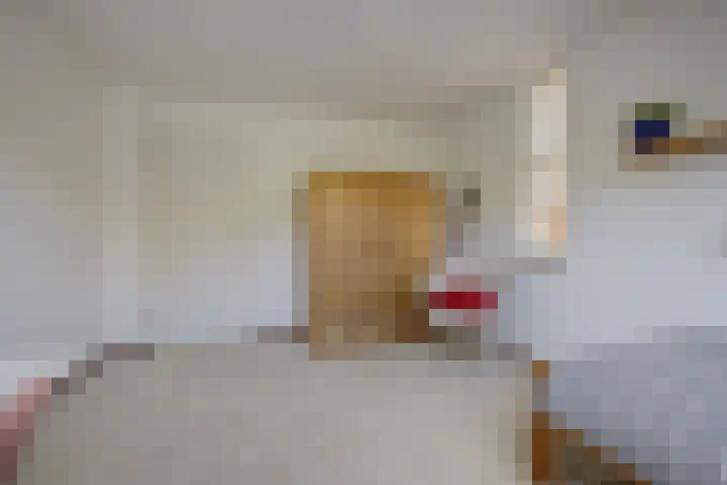 De Hilver 10 Goirle thumbnail 33