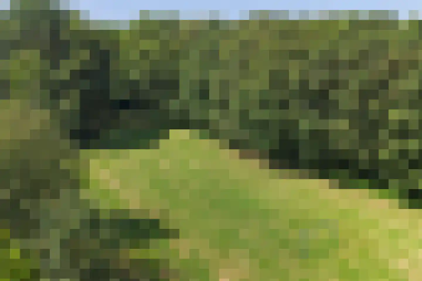 De Hilver 10 Goirle thumbnail 4