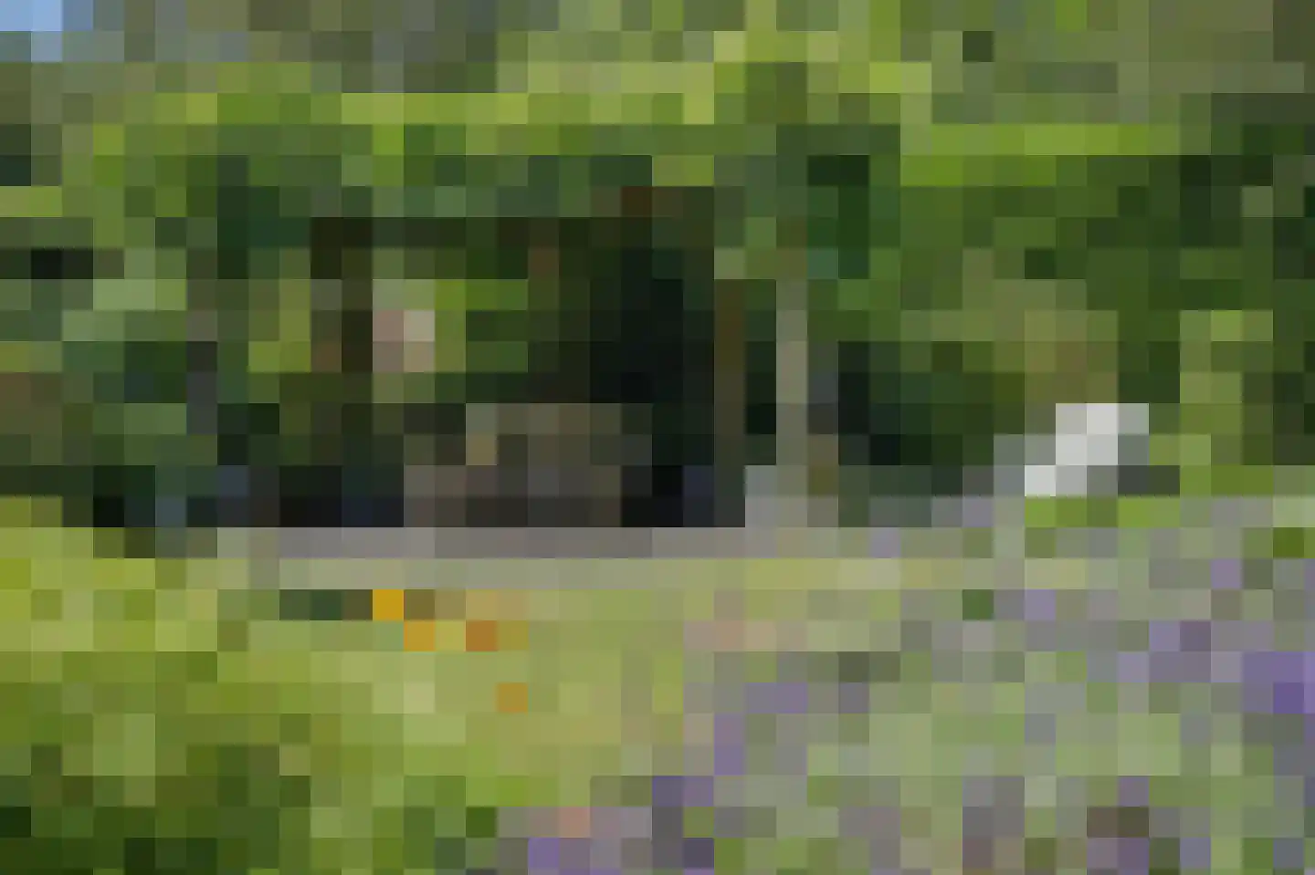 De Hilver 10 Goirle thumbnail 42