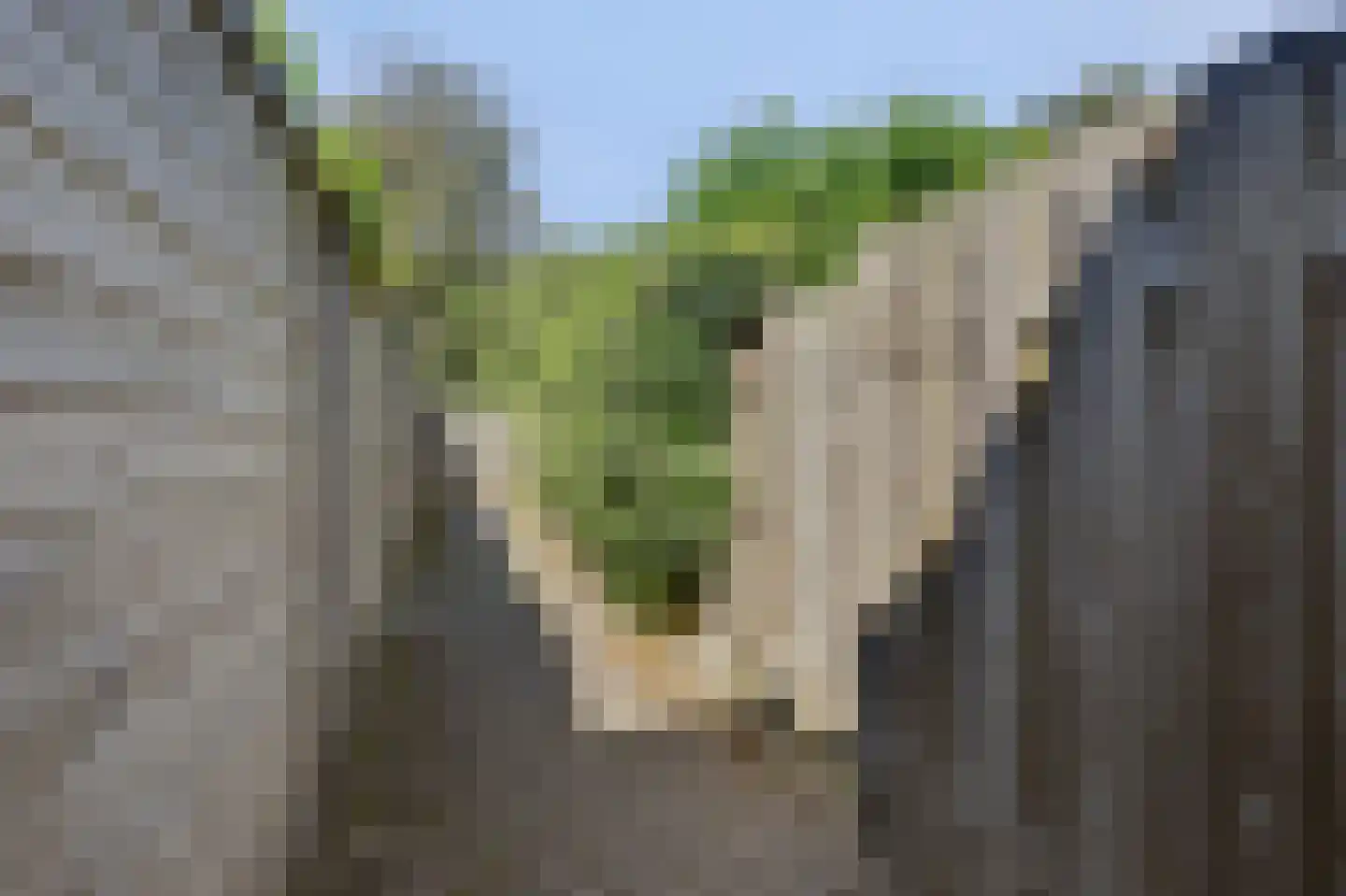 De Hilver 10 Goirle thumbnail 45