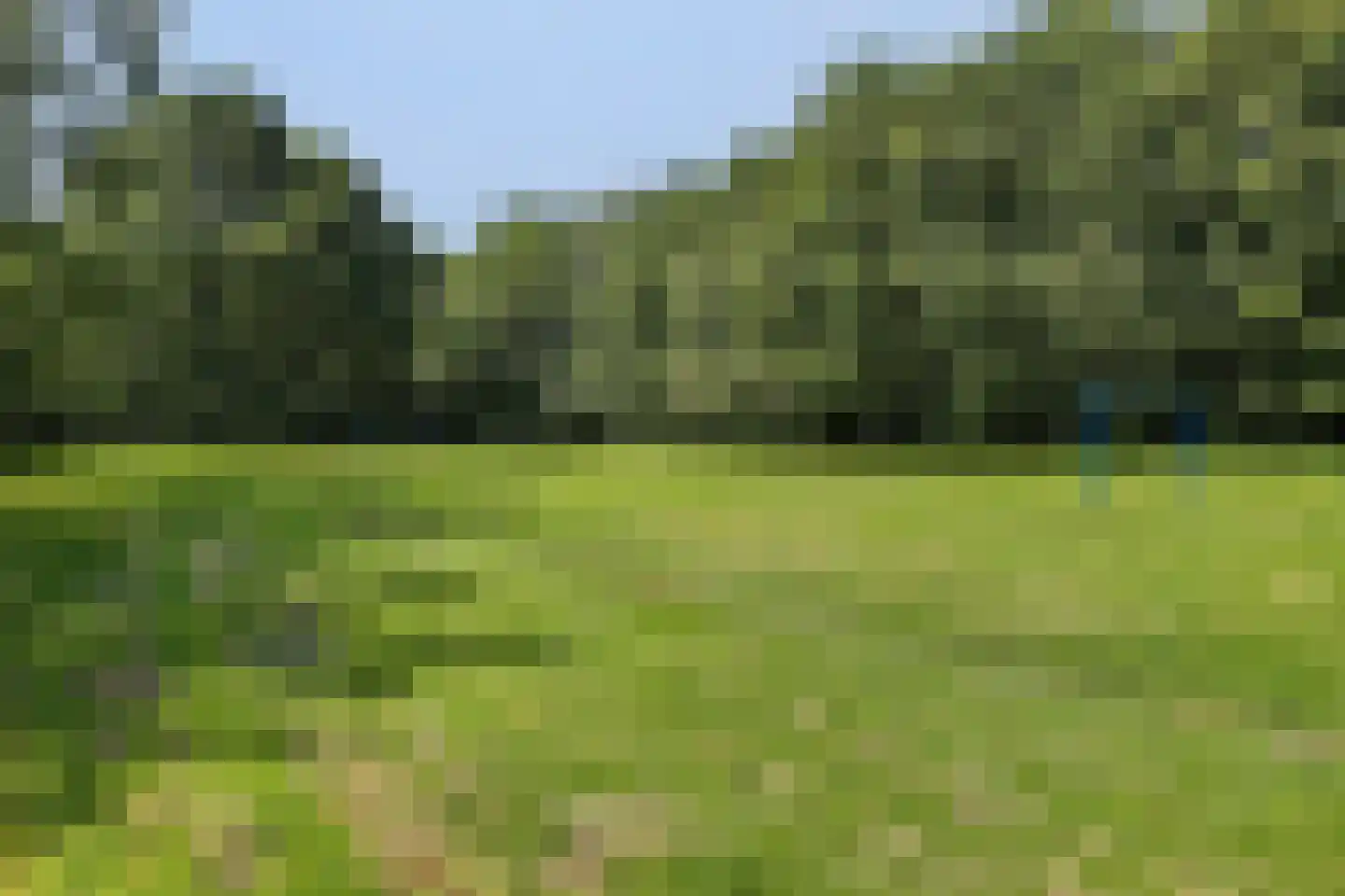 De Hilver 10 Goirle thumbnail 46