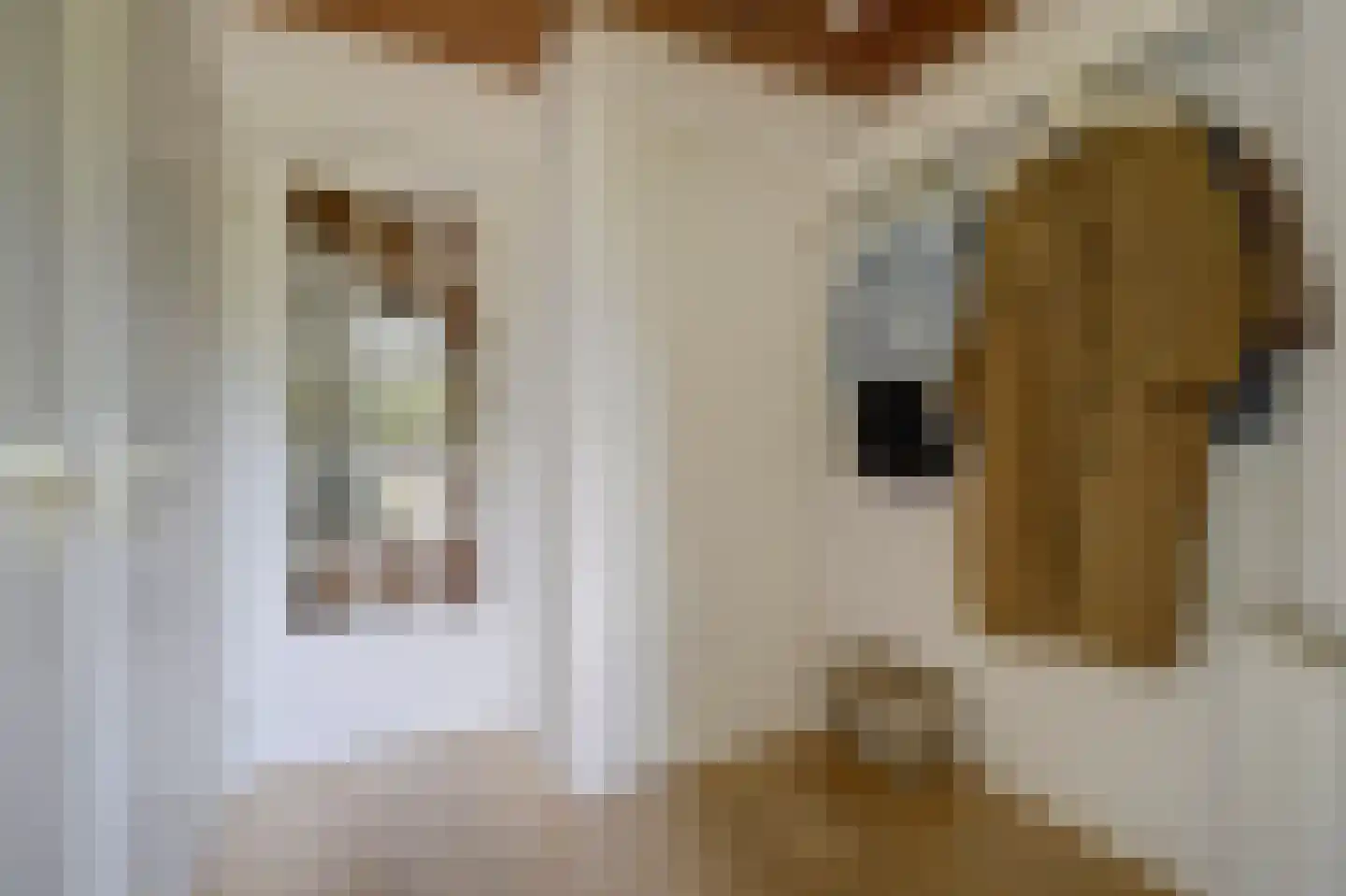 De Hilver 10 Goirle thumbnail 7